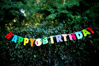 Charlie's 2nd Bday