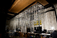 Wired-Divine Design Crystal Strand NY2020037-March 17