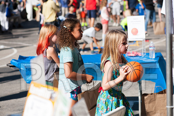 Fair_11