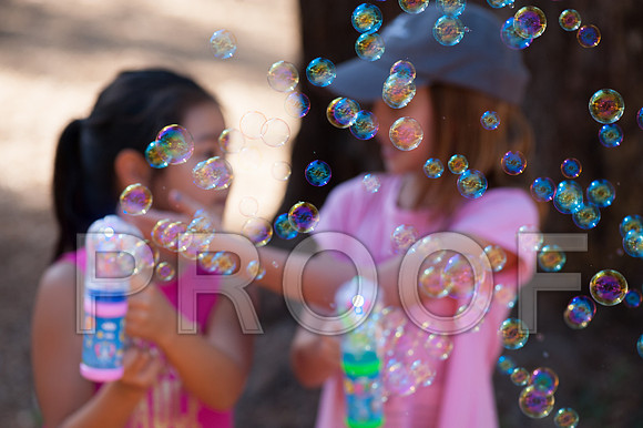 Fair_20
