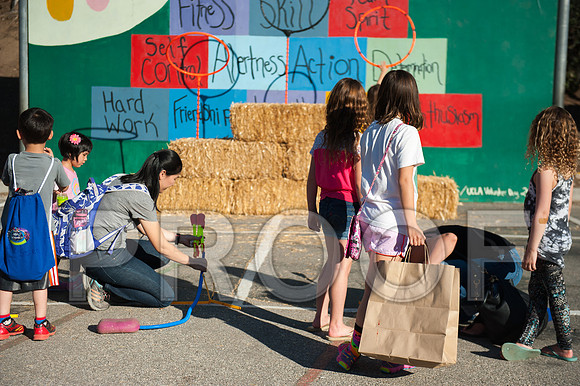 Fair_33