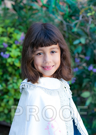 F-1039-CWC H-17