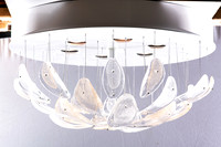 Wired-MD Custom Floating Petals Round LA2020114 June 29th and 30th