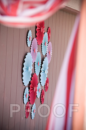 24-DSC_1352