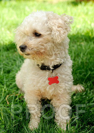 Madeline_DSC3394