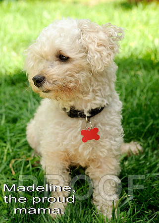 Madeline