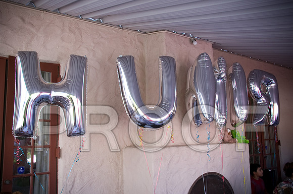 29-DSC_1525